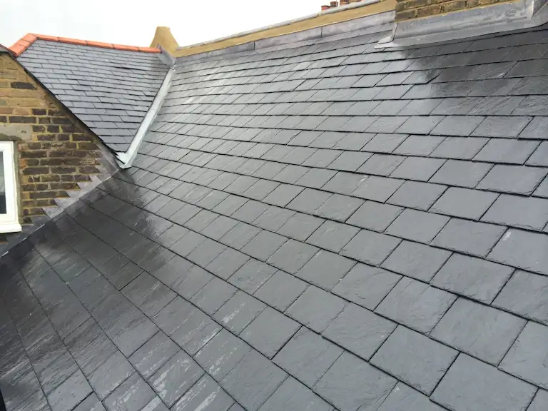 A black slate roof in a residential area